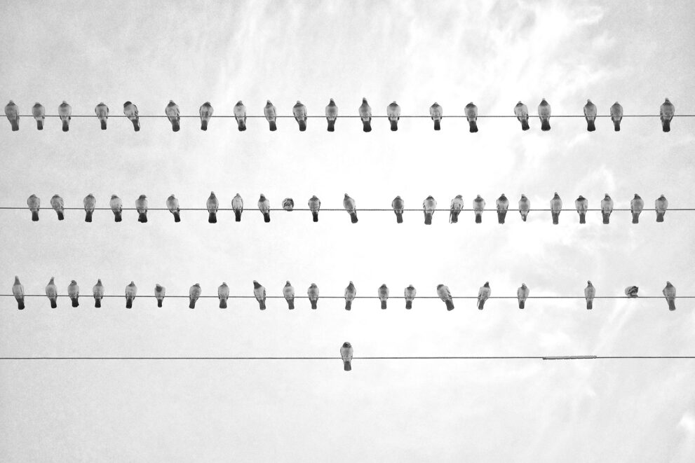SYSTEMISCHER ANSATZ